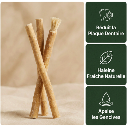 Miswak - Natuurlijke Tandenborstel (set van 3)