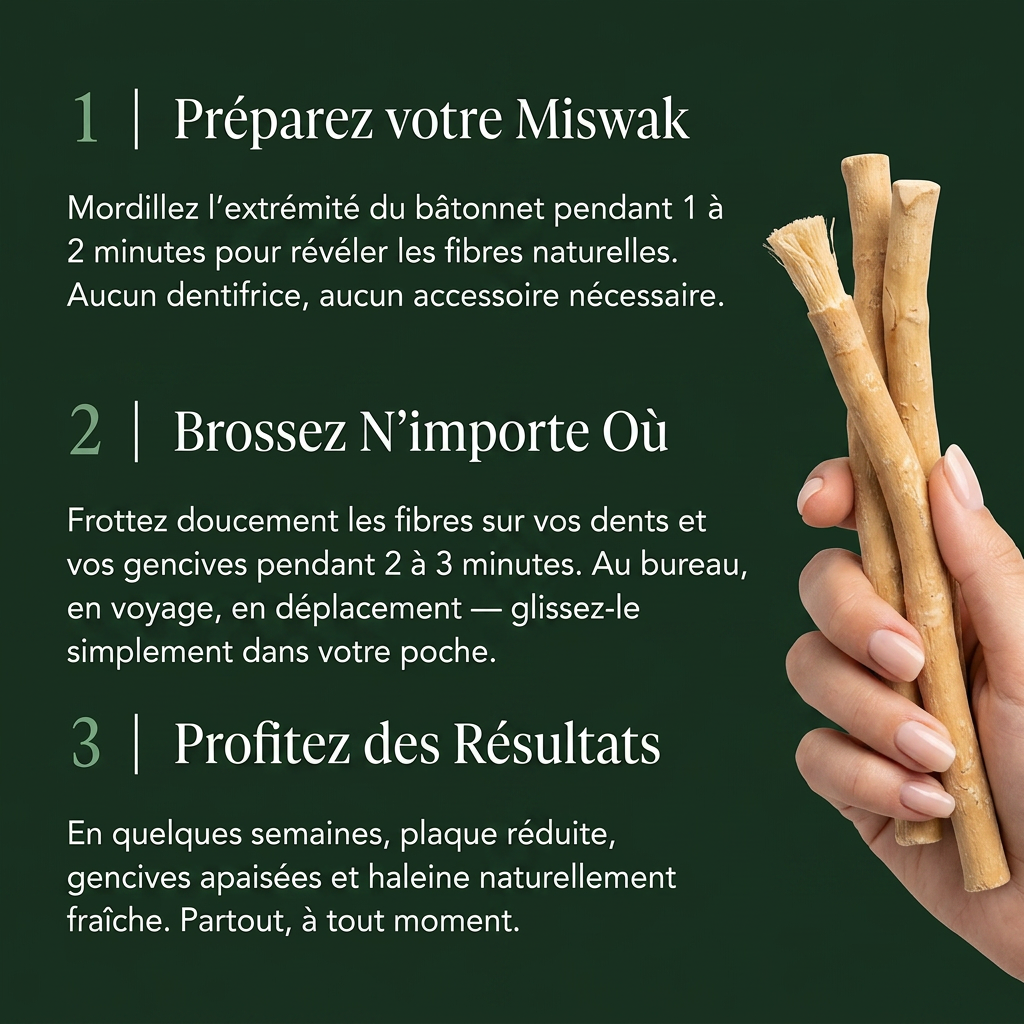 Miswak - Natuurlijke Tandenborstel (set van 3)