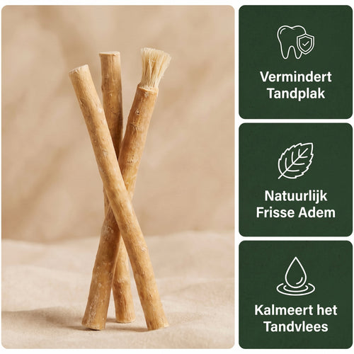 Miswak - Natuurlijke Tandenborstel (set van 3)